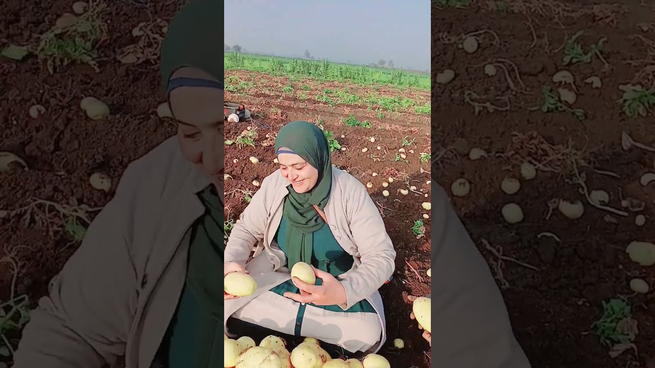 ٦ فبراير ٢٠٢٥