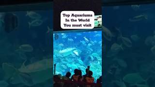Some of the top aquariums in the world, you must visit #vacation #aquarium #kualalumpur #dubai