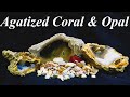 Agatized Coral, Lightning Ridge Opal, &amp; Lake Superior Agate! Making Opal Triplets &amp; Unboxing Gems!