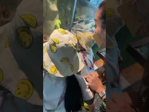 Snake show, Siam Serpentarium, Thailand