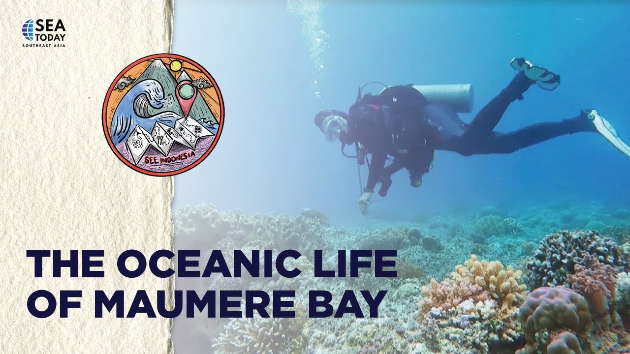 See Indonesia; The Oceanic Life Of Maumere Bay
