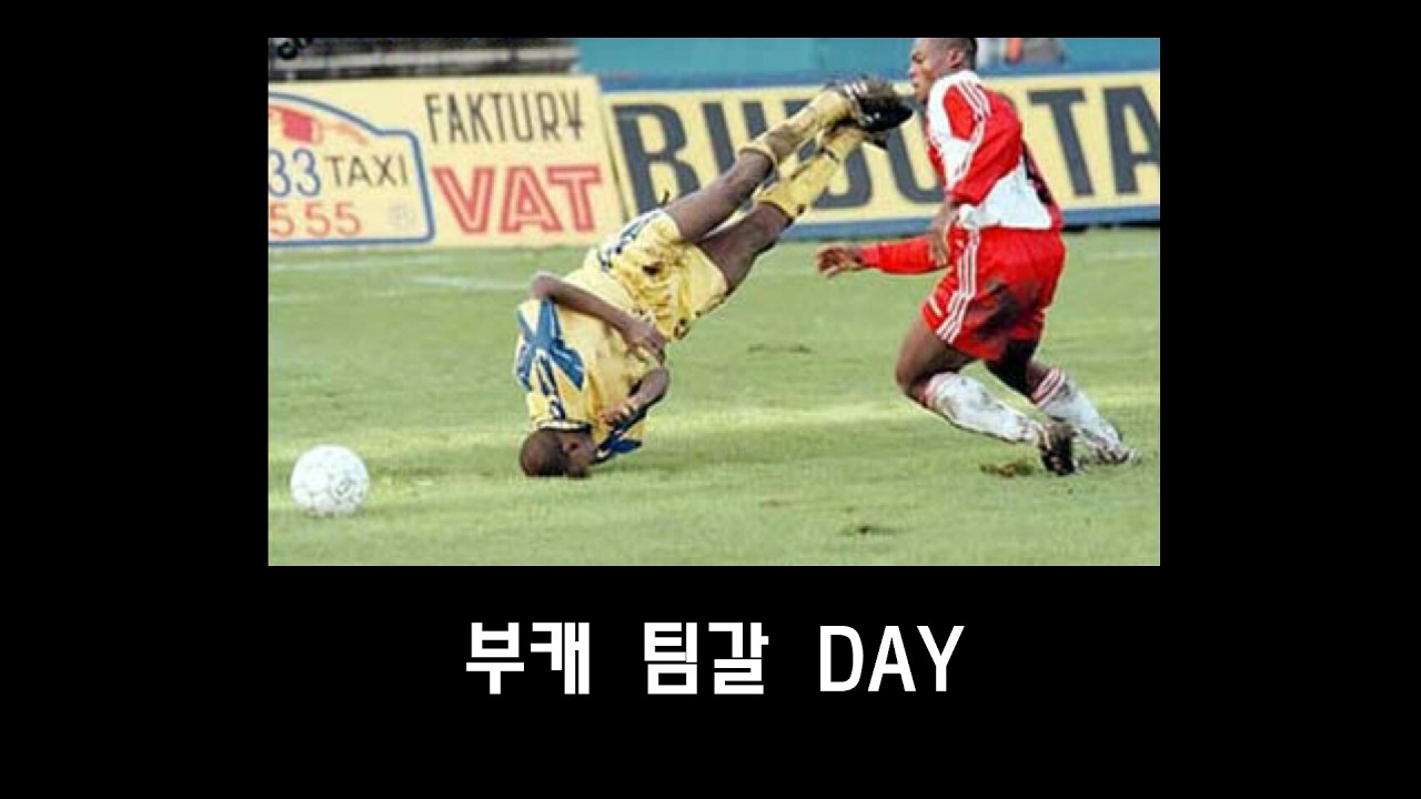 이제 전부 식상해... 안식상한팀 추천좀 부탁드립니다 2000조