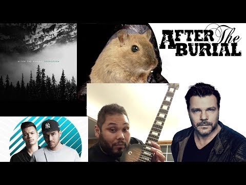 CINCOGÓ MUTÁNS EGEREK | After The Burial - Evergreen (2019)