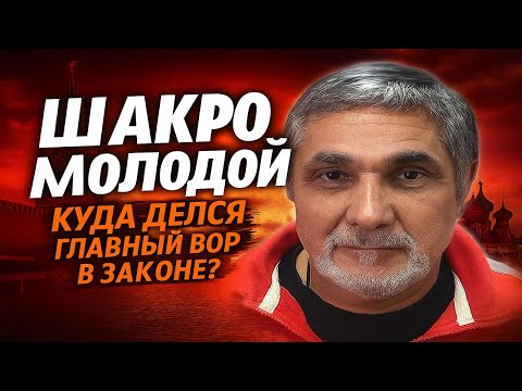 ПОСЛЕДНИЙ ВОР В ЗАКОНЕ: История падения Шакро Молодого