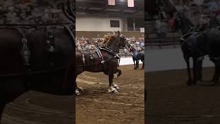 2026 World Finals