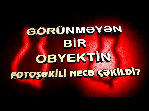 Video: Obyekt davamlılığı necə inkişaf edir?