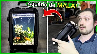 Montando um Aquário com MALA de VIAGEM!