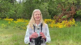 Why we need pollinators and people who love them
