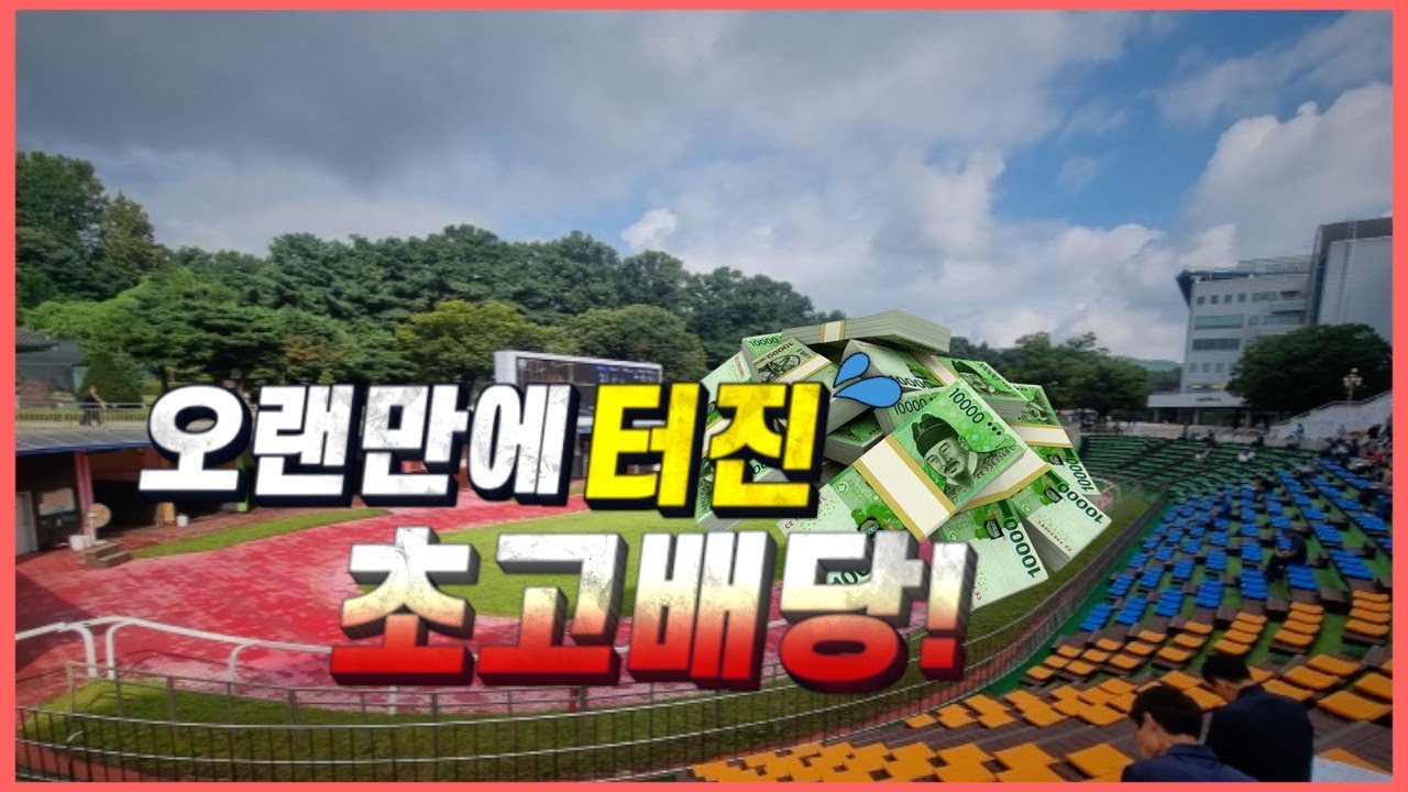 퇴사 각? 21499.9배라니!!