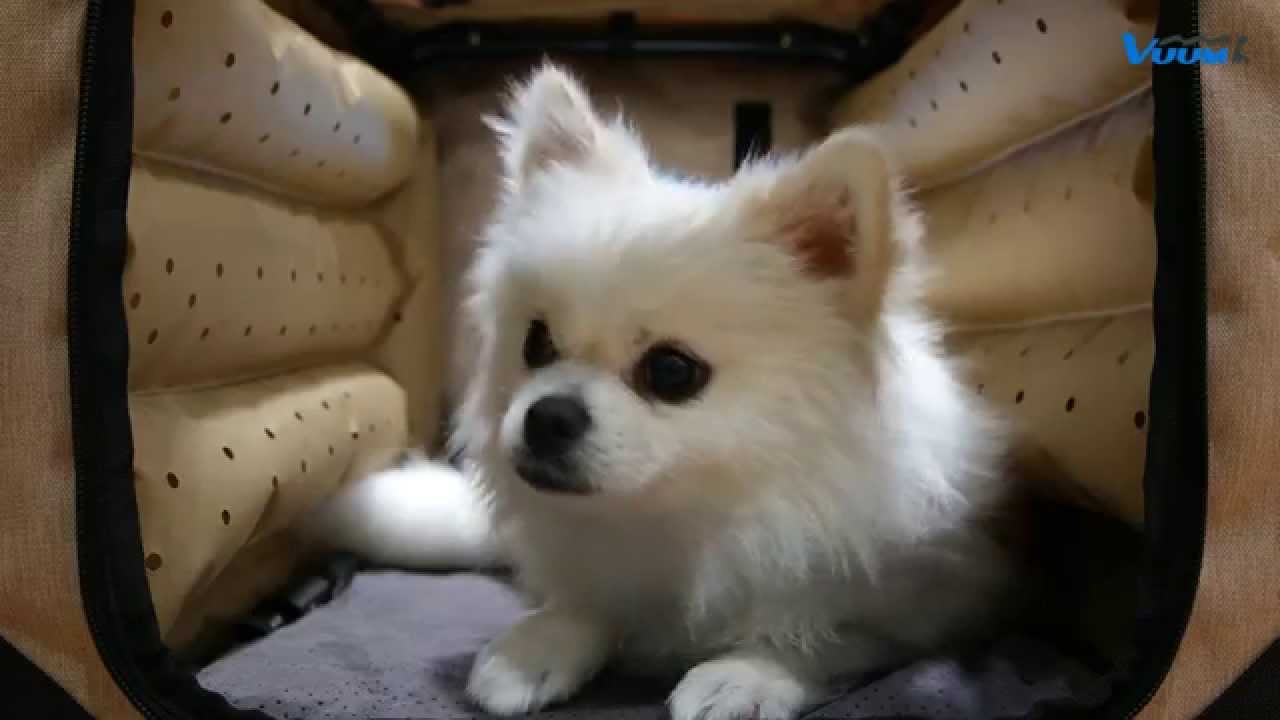 포터블펫케어룸 사용 안내영상_Portable Pet Care Room