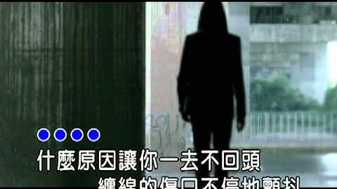 六哲 - 多情的人總被無情的傷(清晰版)
