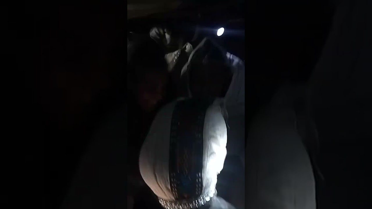 ኣደናቂ ባህላዊ ጭራ ብወዲ ሃይለቻኣል