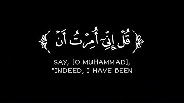 كرومات قرآن شاشة سوداء ( قل أغير الله أتخذ ولياً ) قرآن كريم سورة الأنعام عز الدين ونيس العوامي