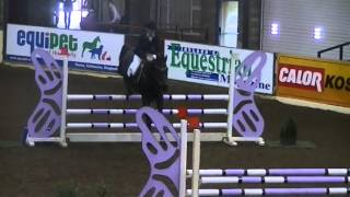 Express Trend Cavan 4y/o