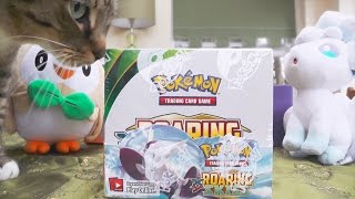 Opening an Entire Roaring Skies Booster Box because I feel like it
This is probably the best titled video on my whole channel
Anyway, about a month or so ago, Pokemon decided to reprint Roaring Skies (AKA the most sought after set of all XY) simply because lol why not. And in response, plenty of people (like myself), decided to roll around on the floor in excitement and then proceed to order an entire box.
If you want to enter the Easter Giveaway for a Chocolate Pokemon Egg, and some holo and Ultra Rare cards, then leave a comment below telling me what your favourite brand of chocolate is, with the hashtag #PokemonEaster! Winners will be announced on April 5th.
Check out the other Giveaway videos from PokeGrownUps, Escape Rope and MrPokeTokyo to have a chance of winning more Easter Eggs and Pokemon goodies!
PokeGrownUps: https://www.youtube.com/watch?v=YXS8BB-Nfqs
Escape Rope: https://www.youtube.com/watch?v=NJ3UXNUebHY
MrPokeTokyo: https://youtu.be/6911TijQVzM
Second Channel ► ► https://www.youtube.com/channel/UC1k8WID0Jx_1bsEV30l_NTw
Facebook ► ► https://www.facebook.com/candyevie
Twitter ► ► https://twitter.com/CandyEevee
Twitch ► ► http://www.twitch.tv/candyevie
My Poke Amino Page! ► ► http://aminoapps.com/page/pokemon/7548451/candyevie Opening an Entire Roaring Skies Booster Box because I feel like it