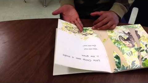 Running record video