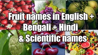 Fruit names in English and Bengali and Hindi || RIGHT TIME screenshot 2