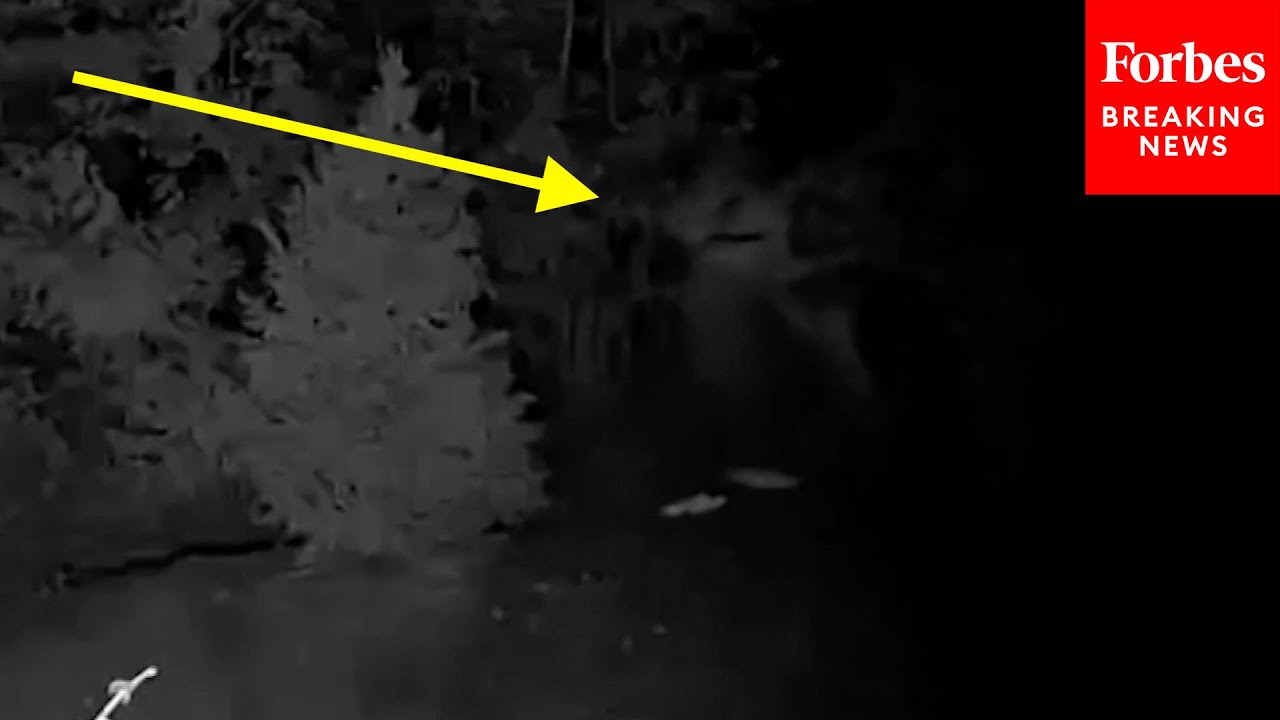 JUST IN: Escaped Murderer Caught On Security Camera Two Days After ...