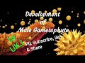 Development of Male gametophyte,Botany-6