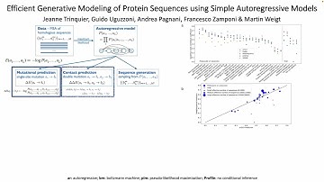 Efficient generative modeling of protein sequences using simple autoregressive models