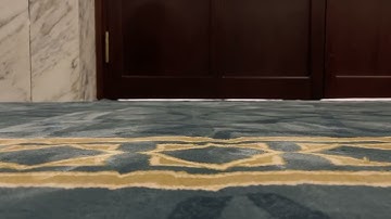 قراءة خاشعة للشيخ أحمد البيطار من سورة النساء | تراويح ليلة ٧ رمضان ١٤٤٦ه‍ـ