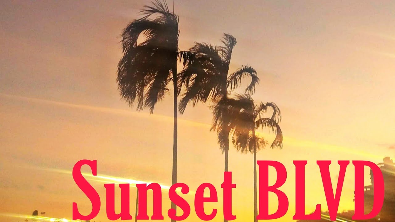 Beautiful Day for a Drive down Sunset BLVD. Driving through Hollywood