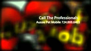 Pet Grooming Harrison Township PA Dog & Cat Groomers