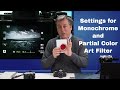 Olympus how to monochromebw and partial color art filter settings ep58