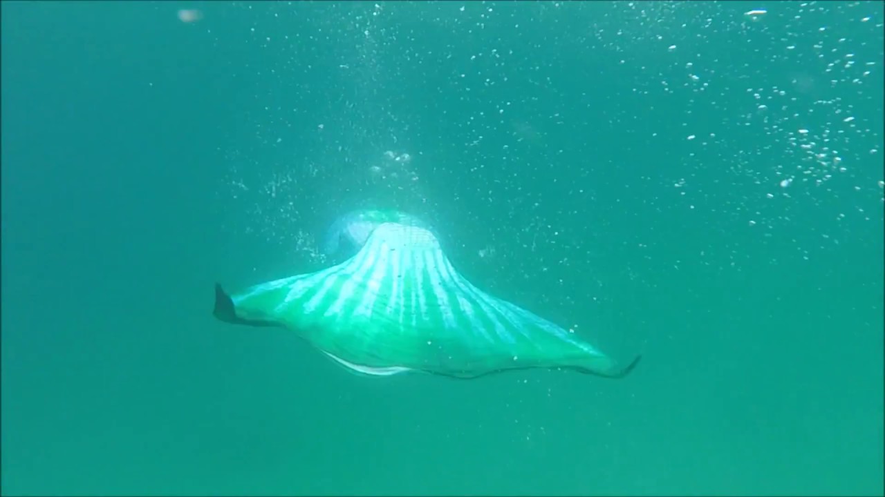 Mermaid Swimming in the Aegean Sea