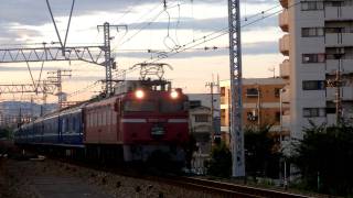 4001レ　EF81-107　　　　　　2011/09/23　塚本