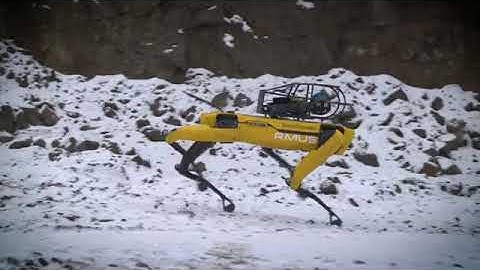 Robot Spot in underground mining