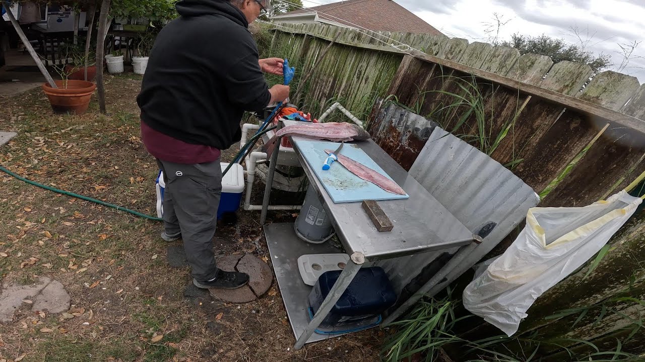 Filleting, Bleeding Redfish for Ceviche!!!! Let's Go.