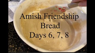 Amish Friendship Bread Starter Tutorial:  Days 6, 7, and 8.   More to come.