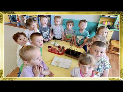 Экологический проект 'Лучок - золотой бочок'