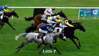 Courses de chevaux au Lion d'Angers 16 septembre 2023