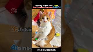 Ranking The Best Cats That Imitate Humans Part1