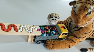 Logic Puzzle | Marble Run ASMR #shorts 221