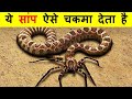 ऐसे सांप आप पहली बार देखोगे | 9 Most Powerfull Snakes In The World