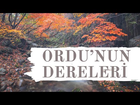 Ordunun Dereleri (Oy Mehmedim Mehmedim) Türküsünün Hikayesi | Karadeniz Türküleri