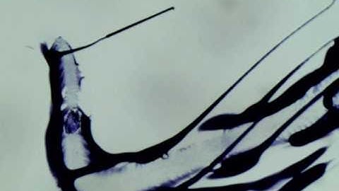 030117 multi4 1pulse cell solution