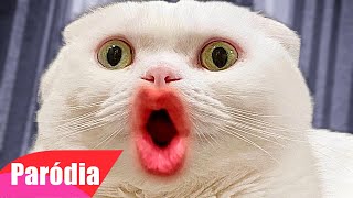 Gatos engraçados tente não rir! com esses vídeos de gatos #gatosengr