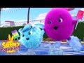 SUNNY BUNNIES - Ice Skating | Season 6 | Cartoons for Children