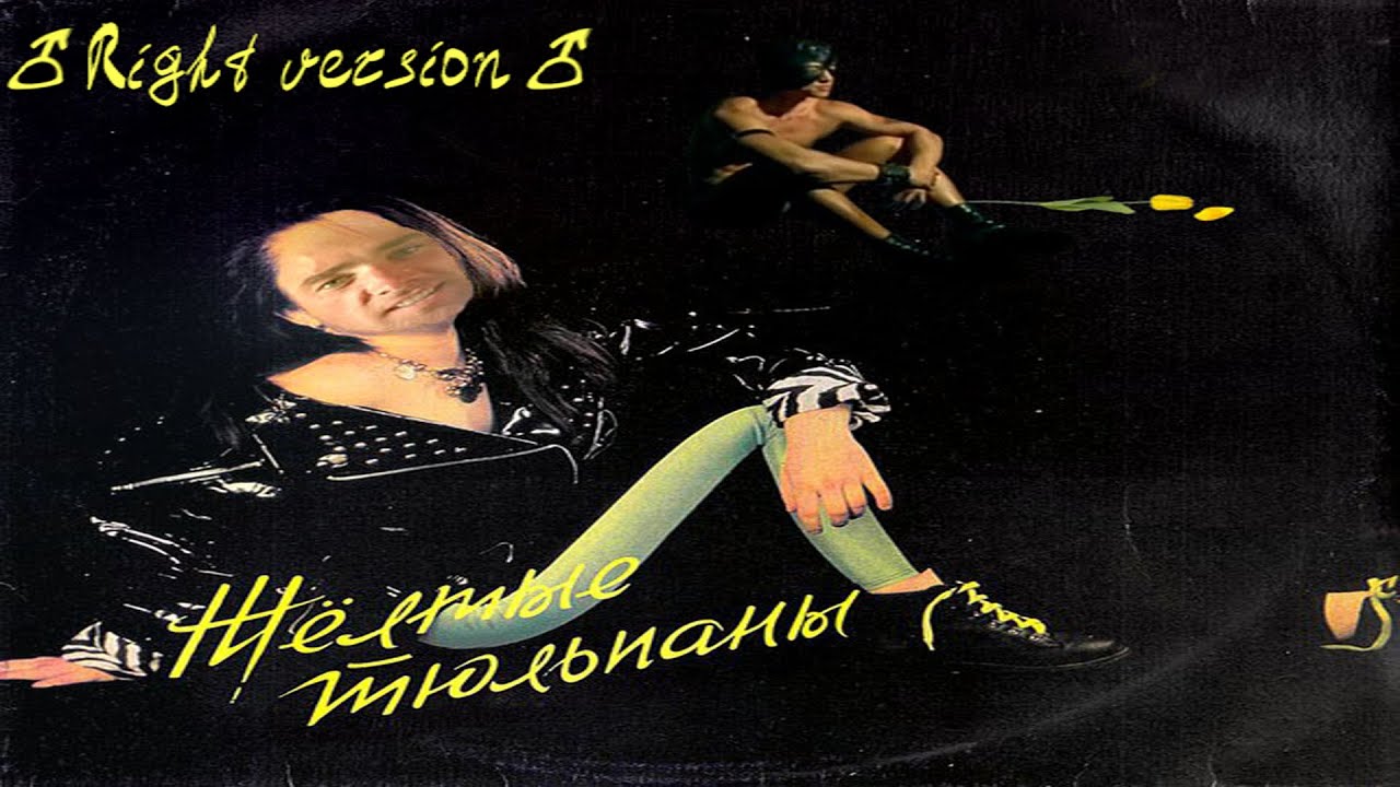 Тюльпаны стихи красивые. Жёлтые тюльпаны наташа королёва слова. Королева желтые тюльпаны текст. Наташа королёва жёлтые тюльпаны. Наташа королёва киевский мальчишка.