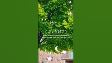 قران كريم#🌿 تلاوة من سورة هود#🌿القارئ عمر  الدريويز🌿