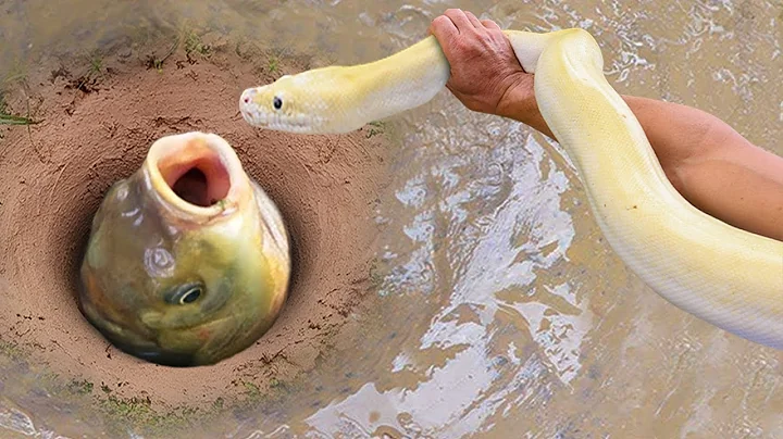 Unbelievable Fishing Technique | Use A Snake To Catch Fish In A Pit Deep In The Ground