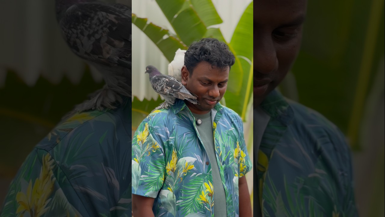 Why Are You Worried? Look at these Birds... Feeling Anxious? Stop Worrying