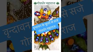 #goverdhan #vrindavan #radhakrishna #trending #viral #bankebihari #festivevibes #india