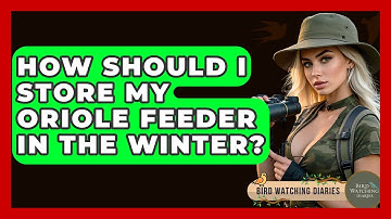 How Should I Store My Oriole Feeder In The Winter? - Bird Watching Diaries