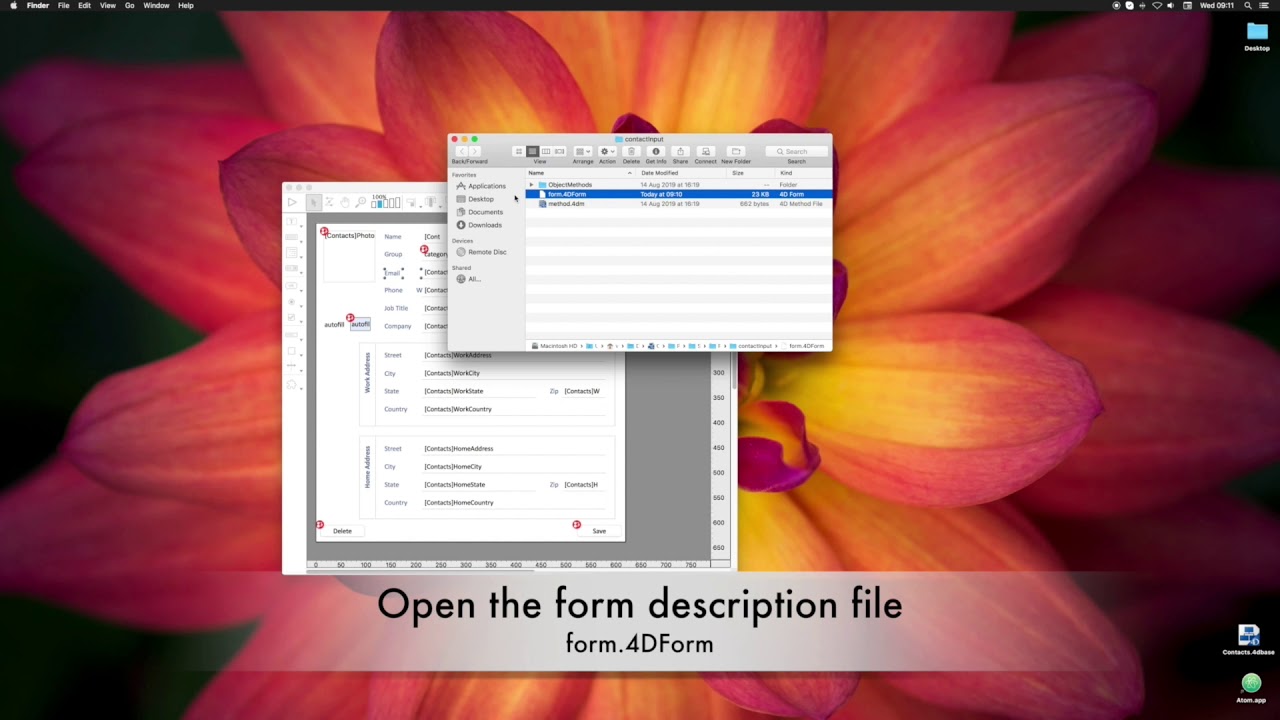 4D Project: Tips for the Form Editor Property List - YouTube