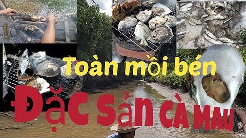 Đi thuốc cá vuông ở Năm Căn toàn cá ngon và mồi đặc sản#cuocsongqueem